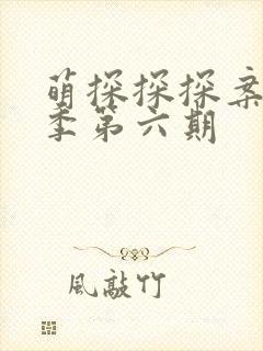 萌探探探案第二季第六期
