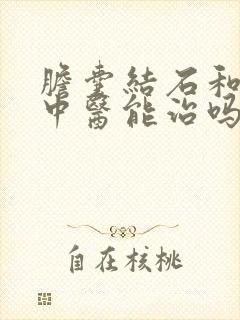 胆囊结石和息肉中医能治吗