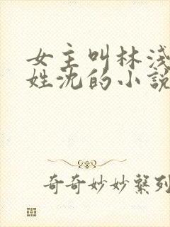 女主叫林浅男主姓沈的小说
