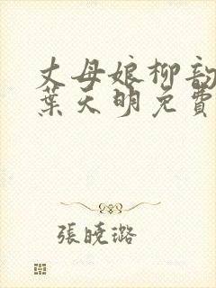 丈母娘柳韵男神叶天明免费阅读无弹窗小说