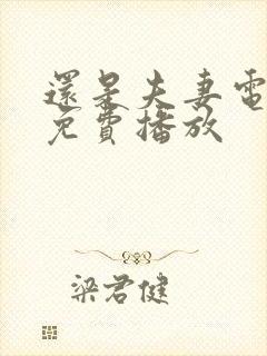 还是夫妻电视剧免费播放