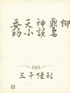 吞天神鼎柳无邪的小说名