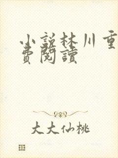 小说林川重生免费阅读
