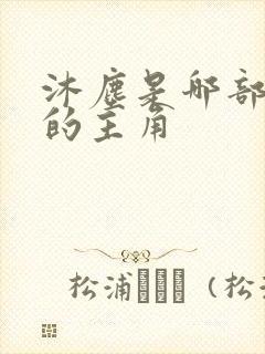 沐尘是哪部小说的主角