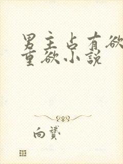 男主占有欲强且重欲小说