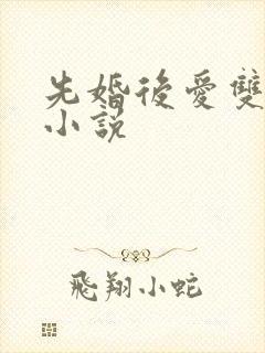 先婚后爱双男主小说