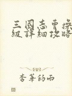 三国志曹操传压级详细攻略