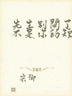 先生别闹了新娘不是你的短剧免费观看大结局