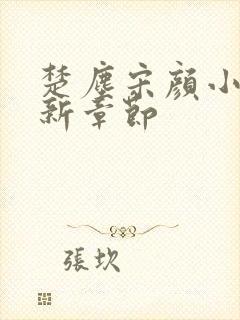 楚尘宋颜小说最新章节