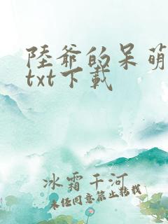 陆爷的呆萌甜妻txt下载