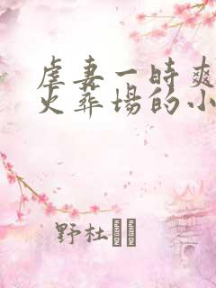 虐妻一时爽追妻火葬场的小说古言