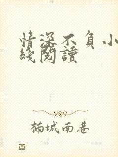 情深不负小说在线阅读