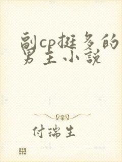 副cp挺多的双男主小说