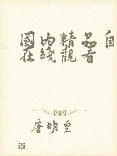 国内精品自产拍在线观看