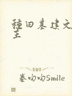 种田基建文双男主