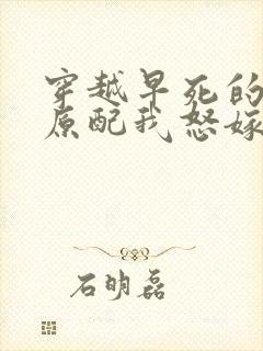 穿越早死的炮灰原配我怒嫁反派类似小说