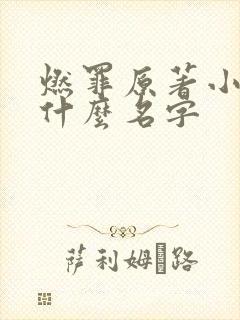 燃罪原著小说叫什么名字