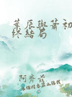 叶辰与萧初然最终结局