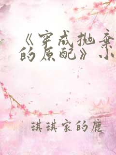 《穿成抛弃首辅的原配》小说