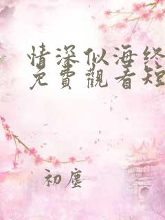 情深似海终成空免费观看短剧