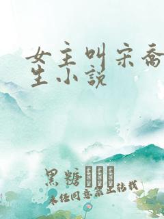 女主叫宋乔的重生小说