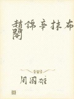 赵锦辛抹布笔趣阁