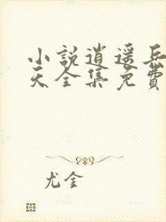 小说逍遥兵王洛天全集免费阅读