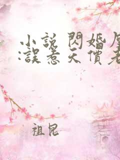 小说 闪婚厚爱:误惹天价老公