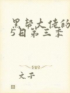 黑帮大佬的365日第三季