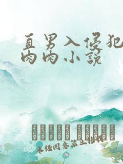 直男入侵犯男男肉肉小说
