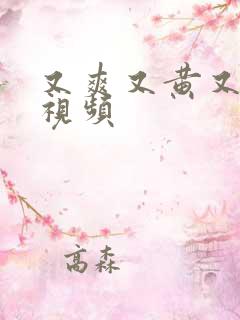 又爽又黄又色的视频