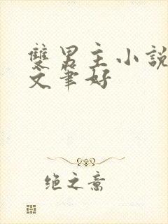 双男主小说推荐文笔好