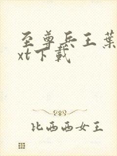 至尊兵王叶枫txt下载