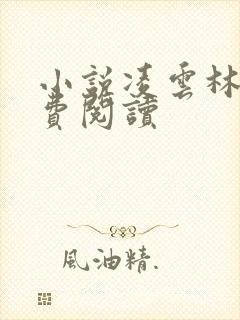 小说凌云林云免费阅读