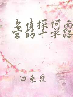 名侦探柯南,迷宫的十字路口