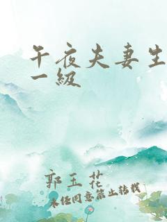 午夜夫妻生活片一级