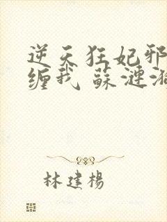 逆天狂妃邪王别缠我 苏涟漪