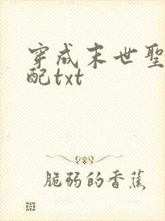 穿成末世圣母女配txt