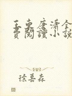 王东唐潇全本免费阅读小说