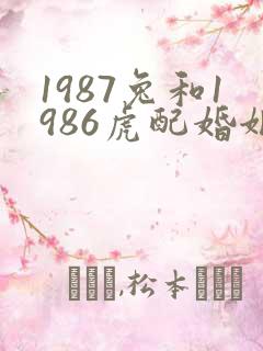 1987兔和1986虎配婚姻好不好