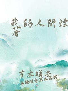 我的人间烟火原著