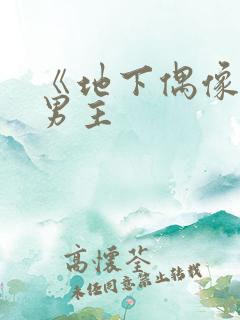 《地下偶像》双男主