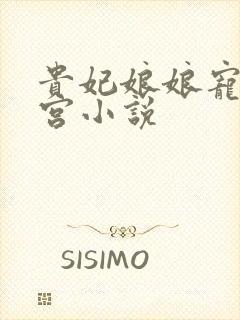 贵妃娘娘宠冠六宫小说