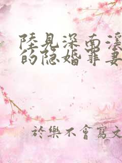 陆见深南溪陆少的隐婚罪妻