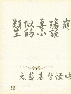 类似妻殇崩毁人生的小说