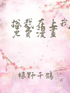 总裁在上我在下免费漫画