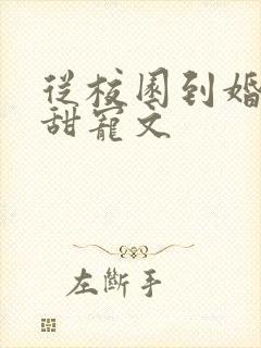 从校园到婚纱的甜宠文