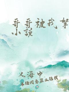 哥哥被我拿捏了小说