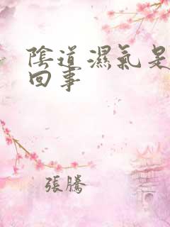 阴道湿气是怎么回事