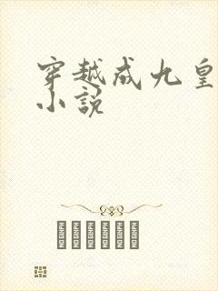 穿越成九皇子的小说